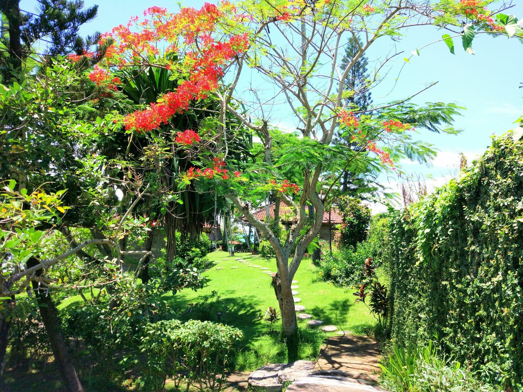 Gajah Mina Beach Resort Selemadeg  Extérieur photo