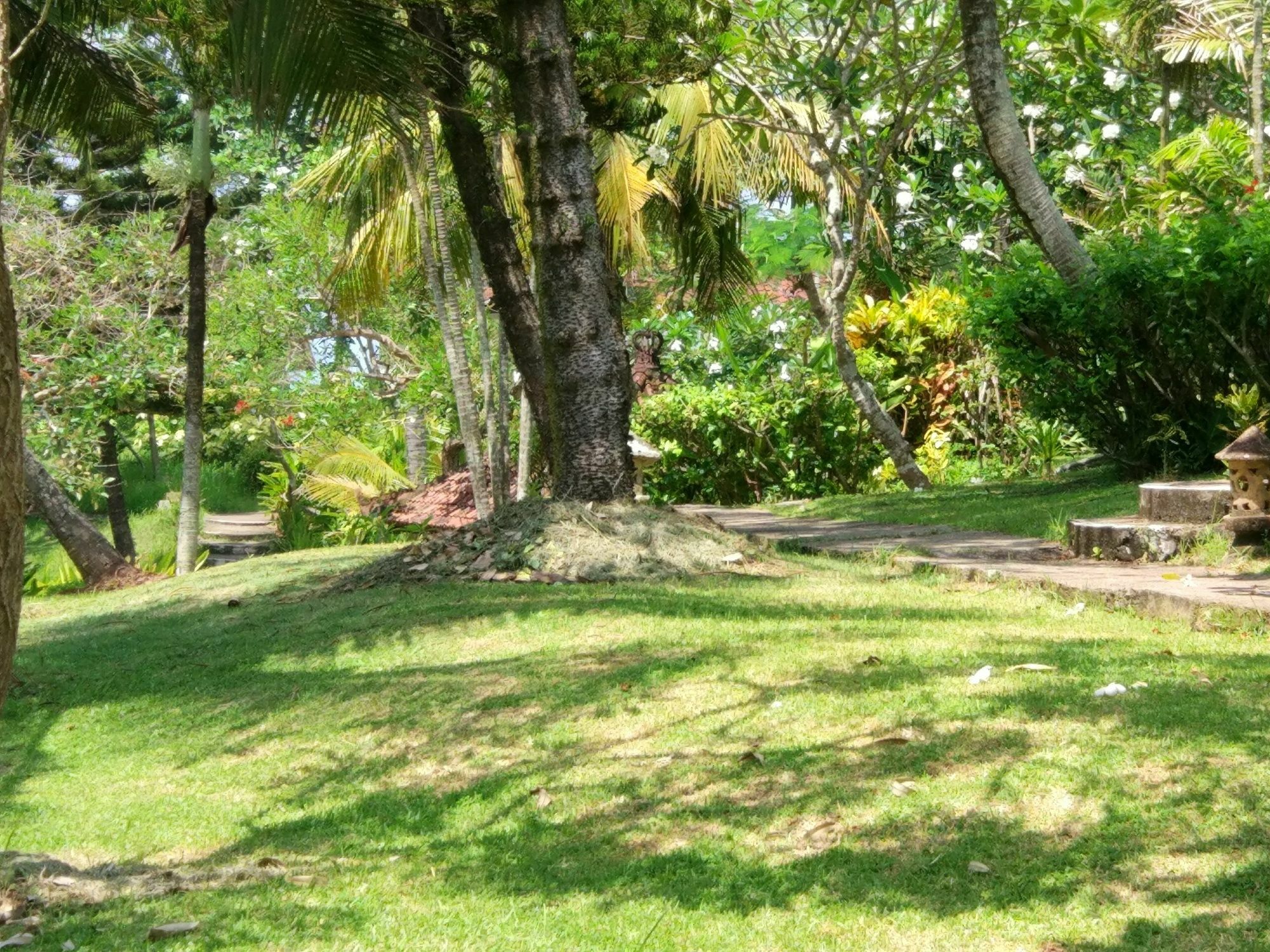 Gajah Mina Beach Resort Selemadeg  Extérieur photo