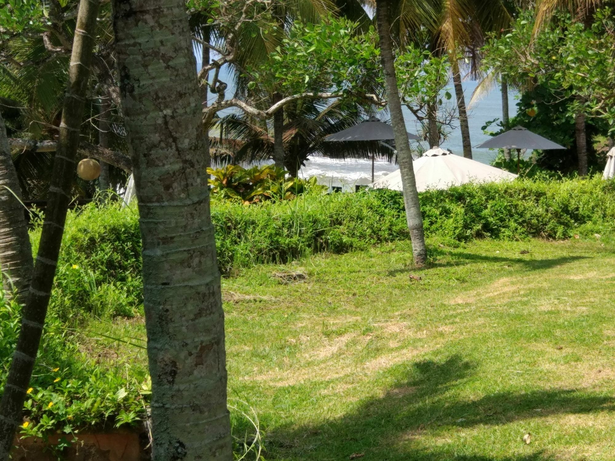Gajah Mina Beach Resort Selemadeg  Extérieur photo